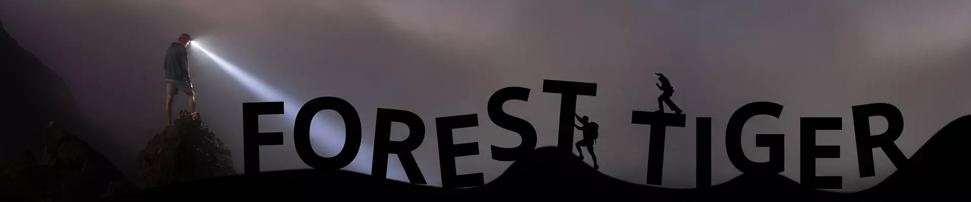 Pribatutasun politika